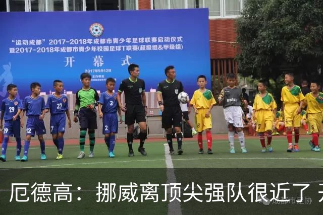 厄德高：挪威离顶尖强队很近了 开赛前说我们能到8强我绝不会相信