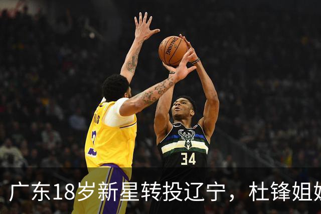 广东18岁新星转投辽宁，杜锋姐姐当选篮协副会长，2后卫试训新疆，广厦外援接受归化