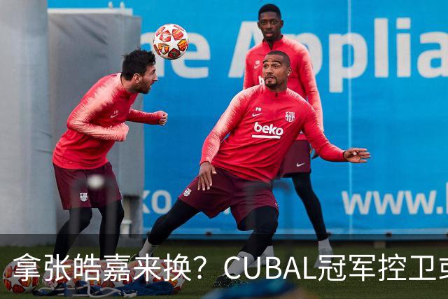 拿张皓嘉来换？CUBAL冠军控卫或被广东队看中，这可是加强版徐杰