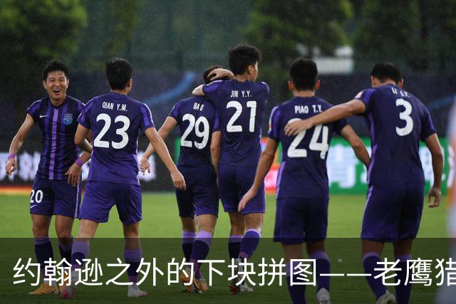 约翰逊之外的下块拼图——老鹰猎物清单与操作空间全解析